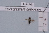  ( - BCA1921)  @11 [ ] CC-BY-NC (2023) INRAE INRAE
