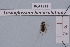  ( - BCA1922)  @11 [ ] CC-BY-NC (2023) INRAE INRAE