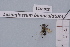 ( - BCA1923)  @11 [ ] CC-BY-NC (2023) INRAE INRAE