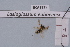  ( - BCA1925)  @11 [ ] CC-BY-NC (2023) INRAE INRAE