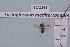  ( - BCA1929)  @11 [ ] CC-BY-NC (2023) INRAE INRAE