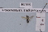  ( - BCA1930)  @11 [ ] CC-BY-NC (2023) INRAE INRAE