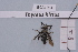  ( - BCA1951)  @11 [ ] CC-BY-NC (2023) INRAE INRAE