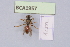  ( - BCA1957)  @11 [ ] CC-BY-NC (2023) INRAE INRAE