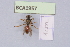  ( - BCA1957)  @11 [ ] CC-BY-NC (2023) INRAE INRAE