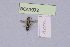  ( - BCA1972)  @11 [ ] CC-BY-NC (2023) INRAE INRAE