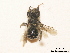  ( - BCA0729)  @11 [ ] CC-BY-NC (2021) ARTHROPOLOGIA ARTHROPOLOGIA