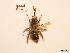  ( - BCA0737)  @11 [ ] CC-BY-NC (2021) ARTHROPOLOGIA ARTHROPOLOGIA