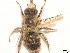  ( - BCA0737)  @11 [ ] CC-BY-NC (2021) ARTHROPOLOGIA ARTHROPOLOGIA