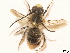  ( - BCA0740)  @11 [ ] CC-BY-NC (2021) ARTHROPOLOGIA ARTHROPOLOGIA