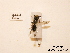  ( - BCA0749)  @11 [ ] CC-BY-NC (2021) ARTHROPOLOGIA ARTHROPOLOGIA