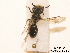 ( - BCA0749)  @11 [ ] CC-BY-NC (2021) ARTHROPOLOGIA ARTHROPOLOGIA