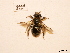  ( - BCA0752)  @11 [ ] CC-BY-NC (2021) ARTHROPOLOGIA ARTHROPOLOGIA