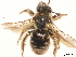  ( - BCA0752)  @11 [ ] CC-BY-NC (2021) ARTHROPOLOGIA ARTHROPOLOGIA