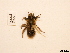  ( - BCA0753)  @11 [ ] CC-BY-NC (2021) ARTHROPOLOGIA ARTHROPOLOGIA