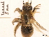  ( - BCA0753)  @11 [ ] CC-BY-NC (2021) ARTHROPOLOGIA ARTHROPOLOGIA