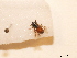  ( - BCA0759)  @11 [ ] CC-BY-NC (2021) ARTHROPOLOGIA ARTHROPOLOGIA
