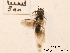  ( - BCA0761)  @11 [ ] CC-BY-NC (2021) ARTHROPOLOGIA ARTHROPOLOGIA