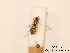  ( - BCA0769)  @11 [ ] CC-BY-NC (2021) ARTHROPOLOGIA ARTHROPOLOGIA