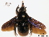 ( - BCA0776)  @11 [ ] CC-BY-NC (2021) ARTHROPOLOGIA ARTHROPOLOGIA