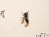  ( - BCA0782)  @11 [ ] CC-BY-NC (2021) ARTHROPOLOGIA ARTHROPOLOGIA