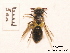  ( - BCA0783)  @11 [ ] CC-BY-NC (2021) ARTHROPOLOGIA ARTHROPOLOGIA