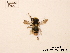  ( - BCA0791)  @12 [ ] CC-BY-NC (2021) ARTHROPOLOGIA ARTHROPOLOGIA