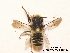  ( - BCA0791)  @13 [ ] CC-BY-NC (2021) ARTHROPOLOGIA ARTHROPOLOGIA