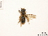 ( - BCA0793)  @11 [ ] CC-BY-NC (2021) ARTHROPOLOGIA ARTHROPOLOGIA