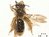  ( - BCA0793)  @11 [ ] CC-BY-NC (2021) ARTHROPOLOGIA ARTHROPOLOGIA