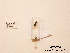  ( - BCA0794)  @11 [ ] CC-BY-NC (2021) ARTHROPOLOGIA ARTHROPOLOGIA