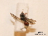  ( - BCA0796)  @11 [ ] CC-BY-NC (2021) ARTHROPOLOGIA ARTHROPOLOGIA