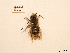  ( - BCA0798)  @11 [ ] CC-BY-NC (2021) ARTHROPOLOGIA ARTHROPOLOGIA