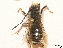  ( - BCA0798)  @11 [ ] CC-BY-NC (2021) ARTHROPOLOGIA ARTHROPOLOGIA