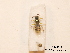  ( - BCA0799)  @11 [ ] CC-BY-NC (2021) ARTHROPOLOGIA ARTHROPOLOGIA