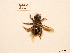  ( - BCA0802)  @11 [ ] CC-BY-NC (2021) ARTHROPOLOGIA ARTHROPOLOGIA