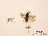  ( - BCA0806)  @11 [ ] CC-BY-NC (2021) ARTHROPOLOGIA ARTHROPOLOGIA