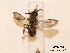  ( - BCA0806)  @11 [ ] CC-BY-NC (2021) ARTHROPOLOGIA ARTHROPOLOGIA