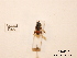  ( - BCA0807)  @11 [ ] CC-BY-NC (2021) ARTHROPOLOGIA ARTHROPOLOGIA