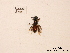  ( - BCA0817)  @11 [ ] CC-BY-NC (2021) ARTHROPOLOGIA ARTHROPOLOGIA