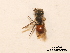  ( - BCA0831)  @11 [ ] CC-BY-NC (2021) ARTHROPOLOGIA ARTHROPOLOGIA