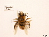  ( - BCA0844)  @11 [ ] CC-BY-NC (2021) ARTHROPOLOGIA ARTHROPOLOGIA