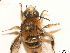  ( - BCA0844)  @11 [ ] CC-BY-NC (2021) ARTHROPOLOGIA ARTHROPOLOGIA