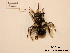  ( - BCA0895)  @11 [ ] CC-BY-NC (2021) ARTHROPOLOGIA ARTHROPOLOGIA