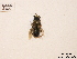  ( - BCA0900)  @11 [ ] CC-BY-NC (2021) ARTHROPOLOGIA ARTHROPOLOGIA