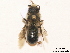 ( - BCA0900)  @11 [ ] CC-BY-NC (2021) ARTHROPOLOGIA ARTHROPOLOGIA
