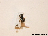  ( - BCA0902)  @11 [ ] CC-BY-NC (2021) ARTHROPOLOGIA ARTHROPOLOGIA