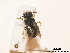  ( - BCA0902)  @11 [ ] CC-BY-NC (2021) ARTHROPOLOGIA ARTHROPOLOGIA