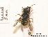  ( - BCA0903)  @11 [ ] CC-BY-NC (2021) ARTHROPOLOGIA ARTHROPOLOGIA