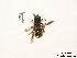  ( - BCA0909)  @11 [ ] CC-BY-NC (2021) ARTHROPOLOGIA ARTHROPOLOGIA